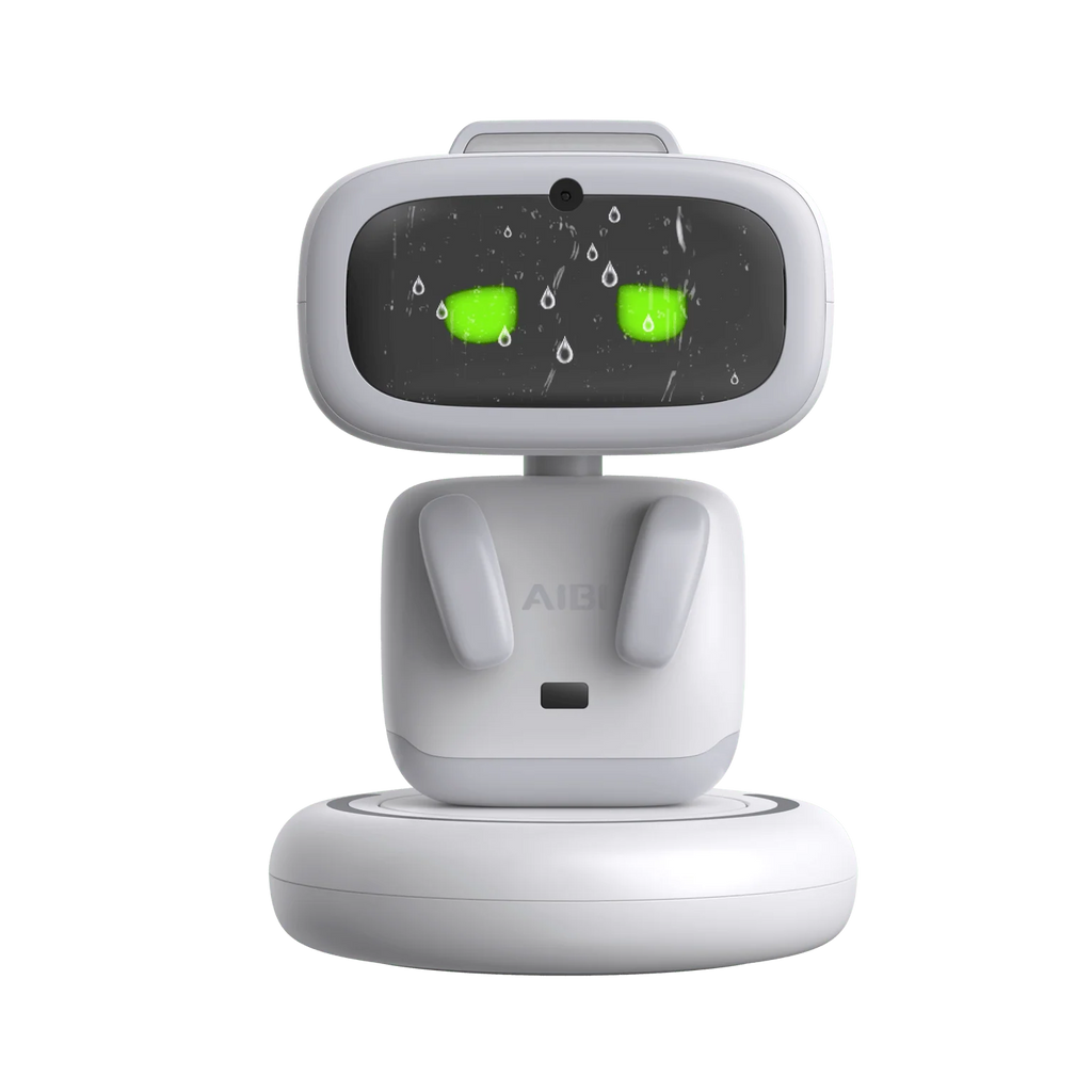 Gift store EMO Ai Robot